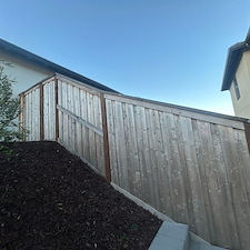 Fence-Staining-Project-San-Luis-Obispo 6